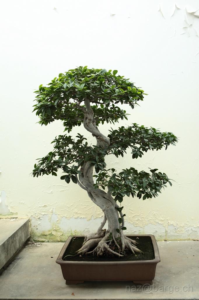 EOS 5D Mark II16_04_20135080.JPG